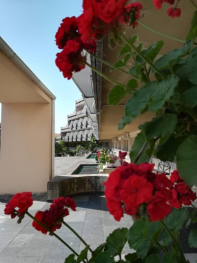 Гостиница Ива Gagra Esterno foto